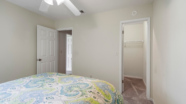 carpeted bedroom featuring ceiling fan, a walk in closet, and a closet