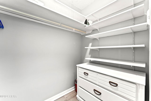 spacious closet with hardwood / wood-style flooring