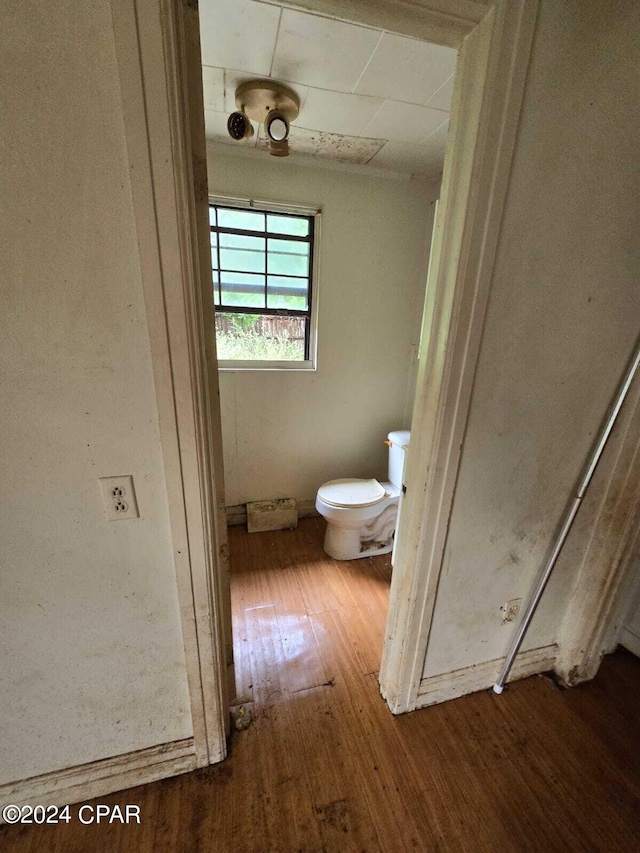 bathroom featuring hardwood / wood-style floors and toilet