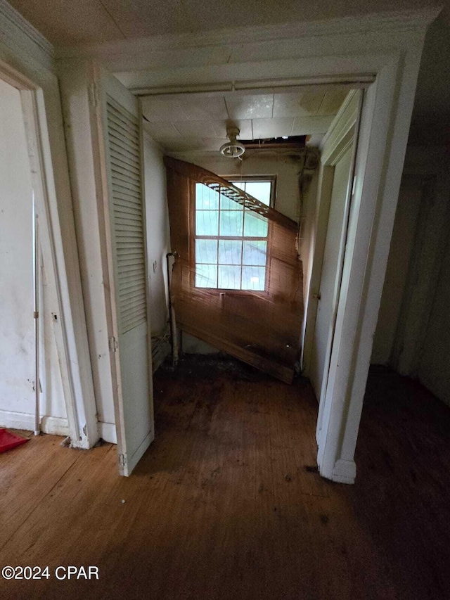 hall featuring hardwood / wood-style flooring