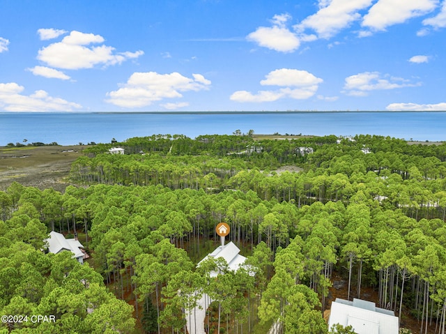 birds eye view of property with a water view and a forest view