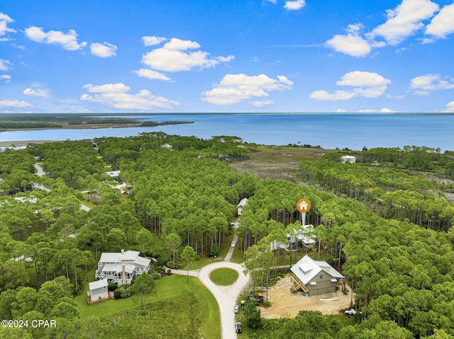 bird's eye view with a water view and a view of trees