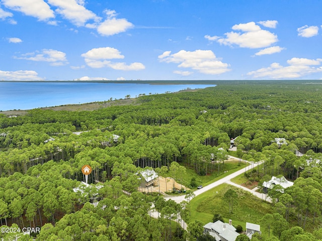 birds eye view of property with a wooded view and a water view