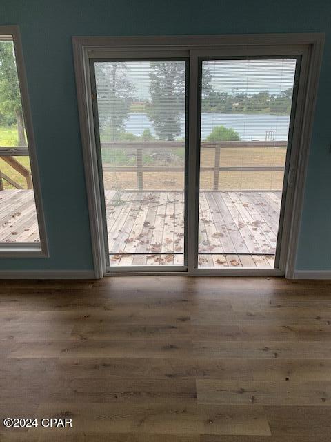 entryway featuring a water view, dark hardwood / wood-style floors, and a healthy amount of sunlight