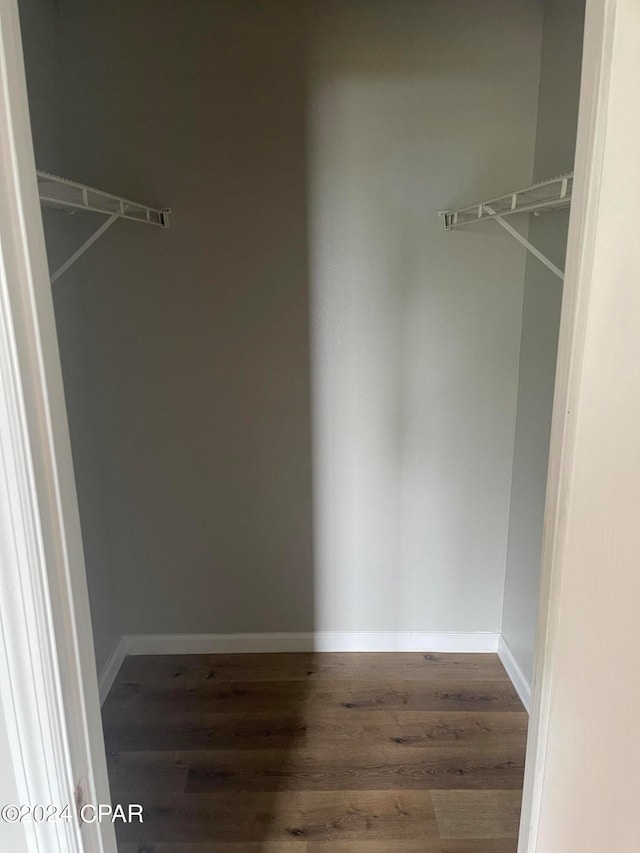 spacious closet with hardwood / wood-style flooring