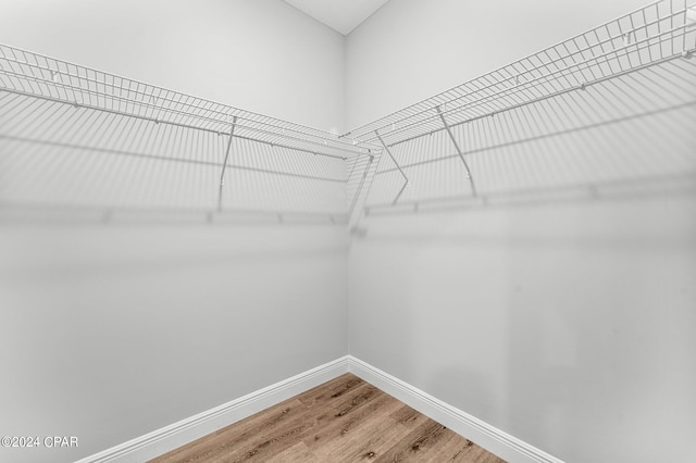 spacious closet with wood-type flooring