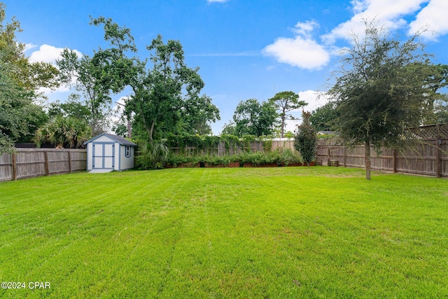 view of yard featuring a storage unit