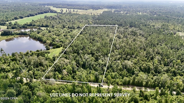 Listing photo 2 for 0 Old Airbase Rd, Marianna FL 32448