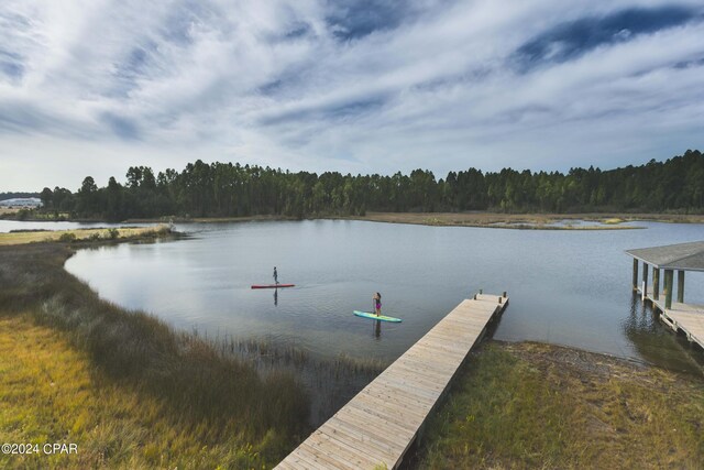 dock area with a water view