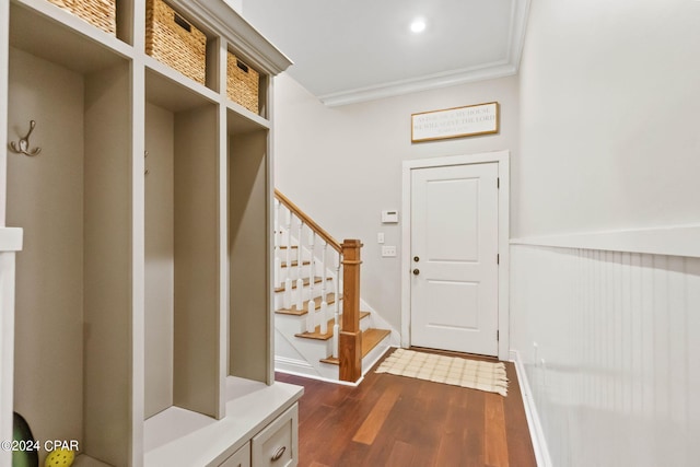 mudroom with dark hardwood / wood-style floors