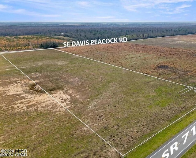 Listing photo 2 for 1716 SE Davis Peacock Rd, Kinard FL 32449