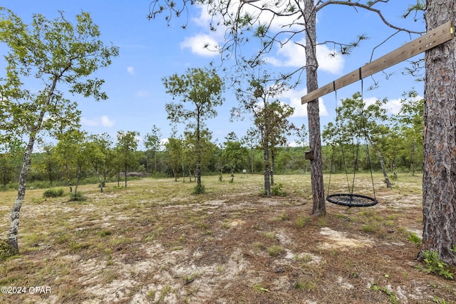 view of local wilderness