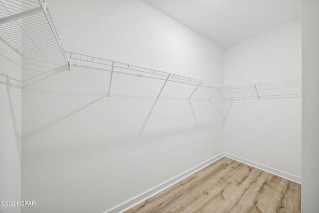 spacious closet featuring wood-type flooring