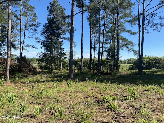 2338 Sweetgum Dr, Bonifay FL, 32425 land for sale