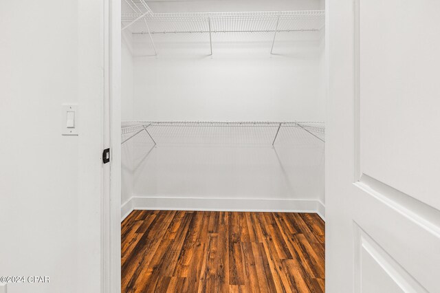 spacious closet with dark hardwood / wood-style flooring