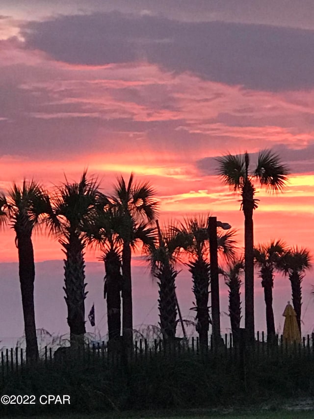 view of nature at dusk