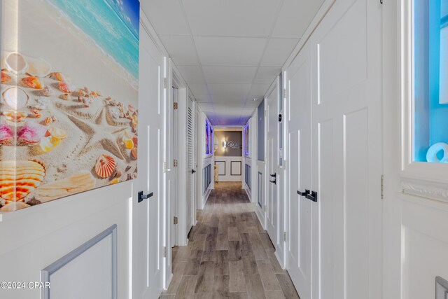 hall with light wood-type flooring and a drop ceiling