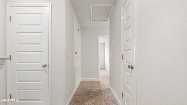 corridor featuring light colored carpet