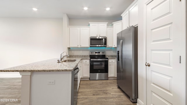 kitchen featuring wood-type flooring, white cabinets, stainless steel appliances, and sink