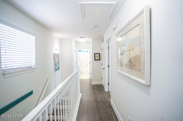 hallway featuring dark wood-type flooring