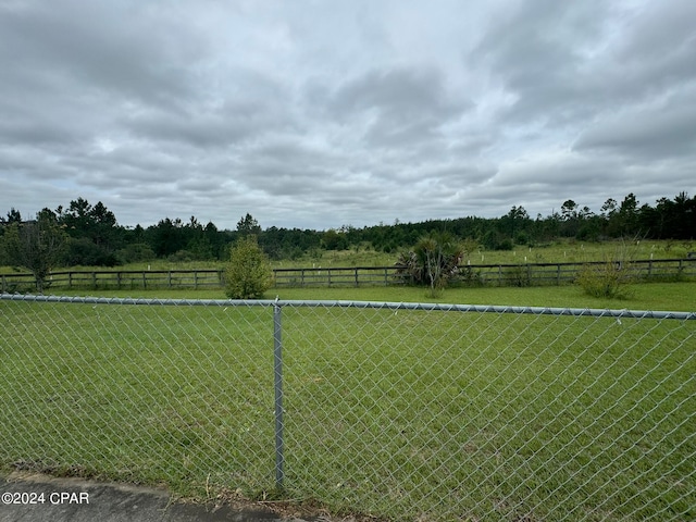 view of yard featuring a rural view