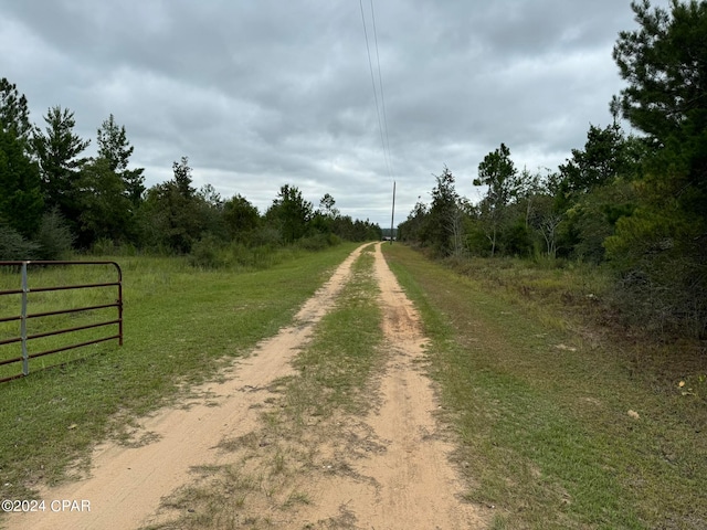 view of road featuring a rural view