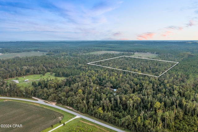 XXX Ostrich Ln, Chipley FL, 32428 land for sale