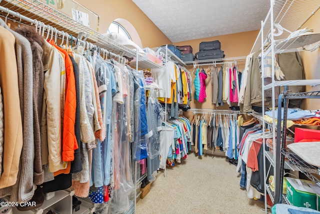 view of spacious closet