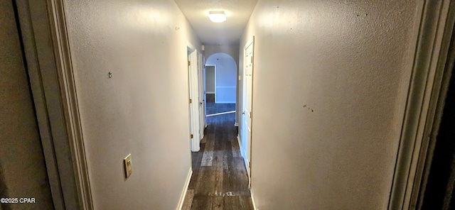 hallway featuring dark wood-type flooring