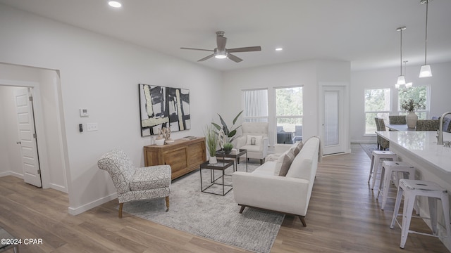 living room featuring ceiling fan and hardwood / wood-style flooring