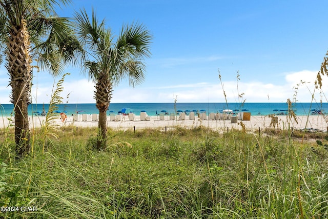 view of water feature with a beach view