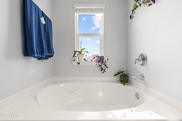 bathroom with a washtub