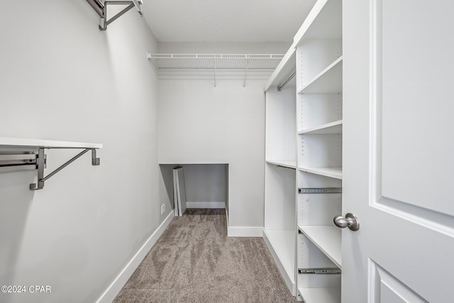 spacious closet with carpet flooring