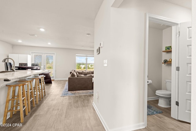 interior space featuring light wood-type flooring and sink