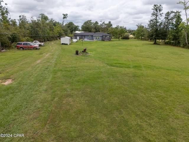 view of yard featuring a shed