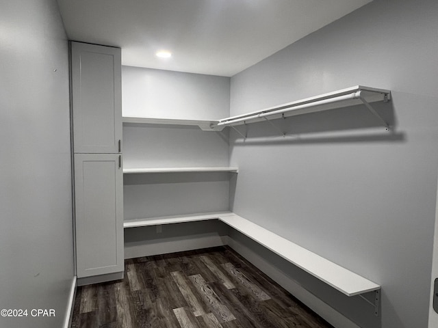 spacious closet featuring dark wood-type flooring