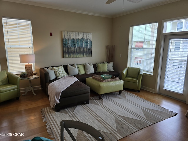 living room featuring wood-type flooring, ornamental molding, and ceiling fan