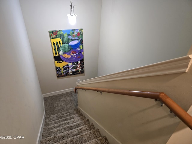 stairway featuring carpet floors