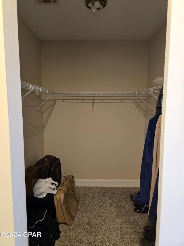 spacious closet with carpet