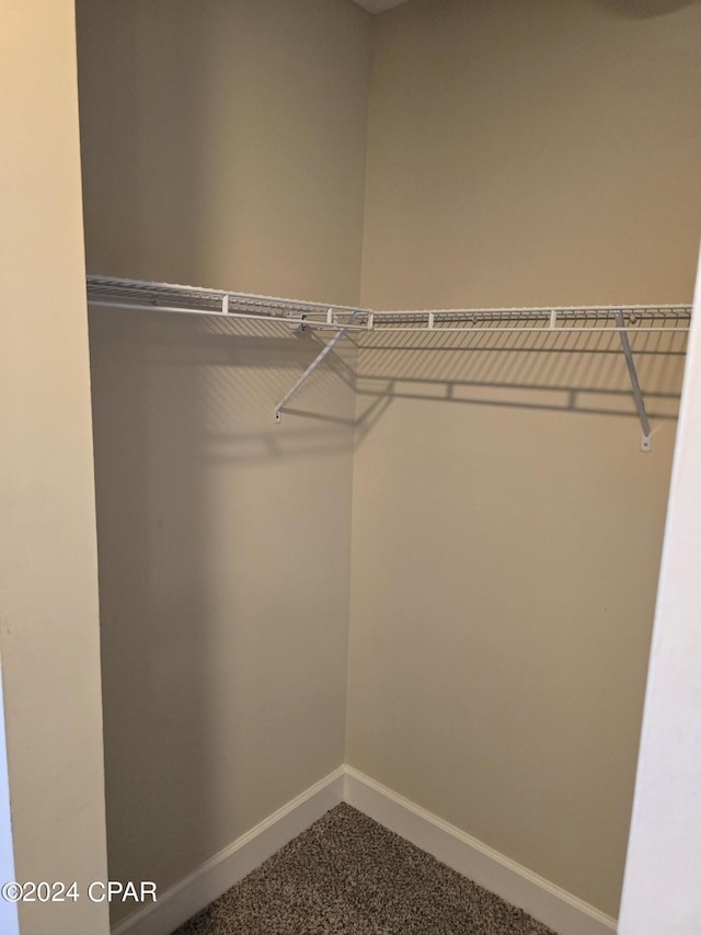 spacious closet with carpet flooring