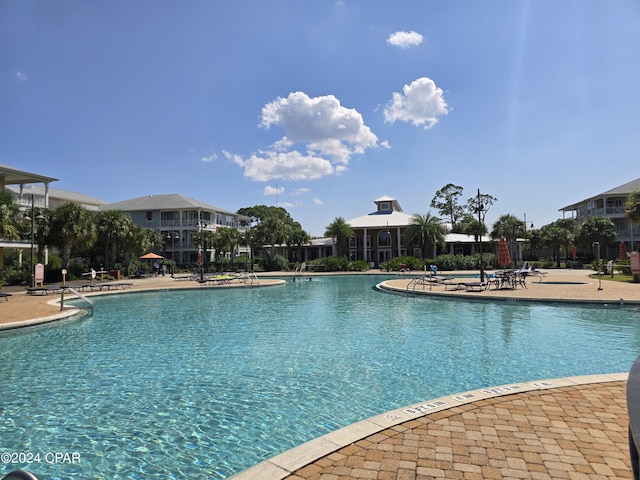 view of pool with a patio area