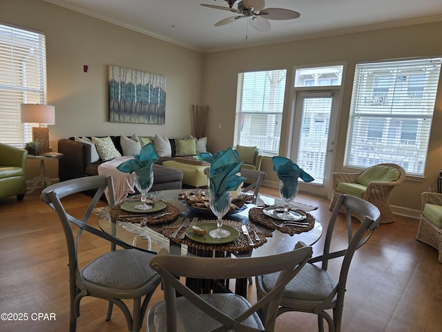 dining room featuring wood-type flooring, plenty of natural light, ceiling fan, and crown molding