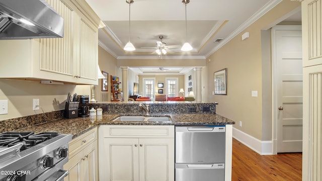 kitchen featuring ceiling fan, hanging light fixtures, sink, ventilation hood, and stainless steel appliances