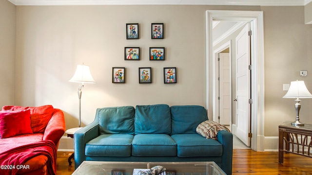 living room featuring ornamental molding and hardwood / wood-style flooring