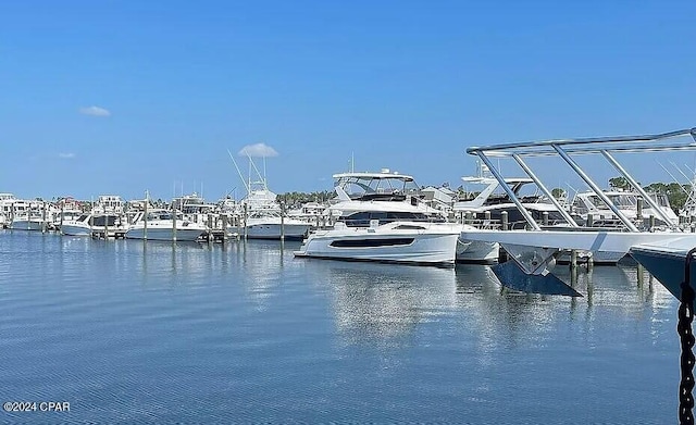 dock area with a water view