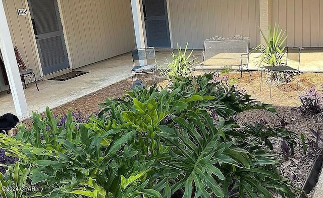 view of yard with a patio area