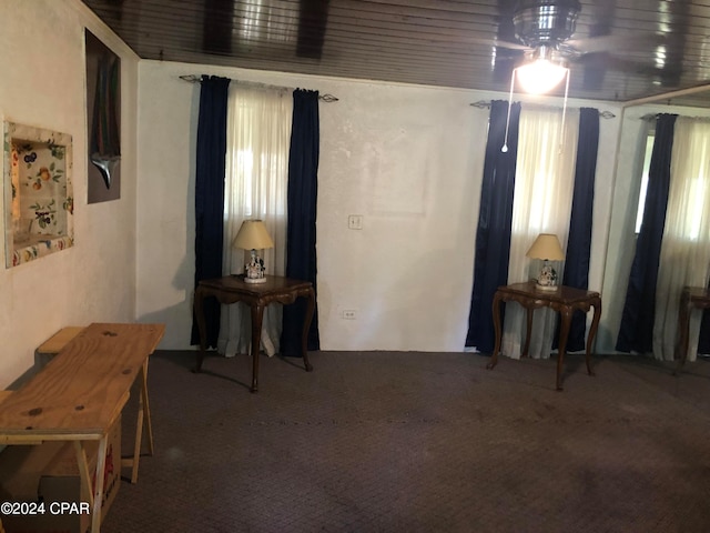 miscellaneous room with ceiling fan, carpet flooring, and a wealth of natural light