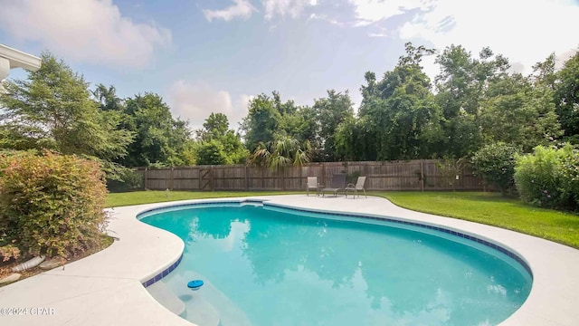 view of pool featuring a lawn