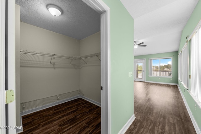 walk in closet featuring ceiling fan and dark hardwood / wood-style floors