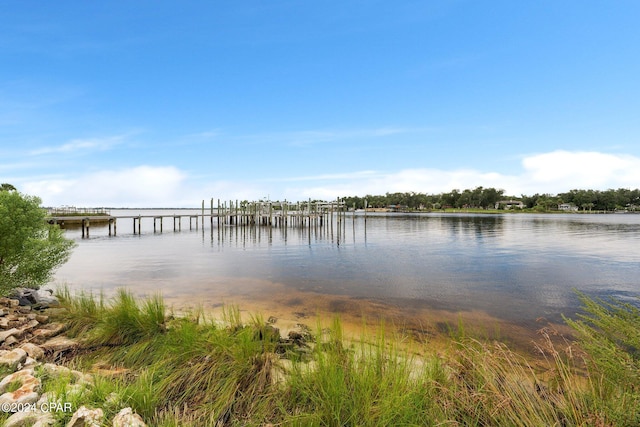 property view of water